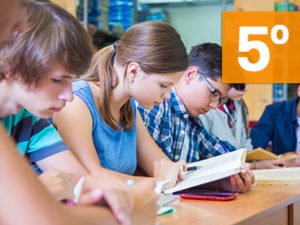 PLEA – Quinto bachillerato
