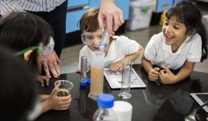 Curso |Didáctica de Ciencias Naturales
