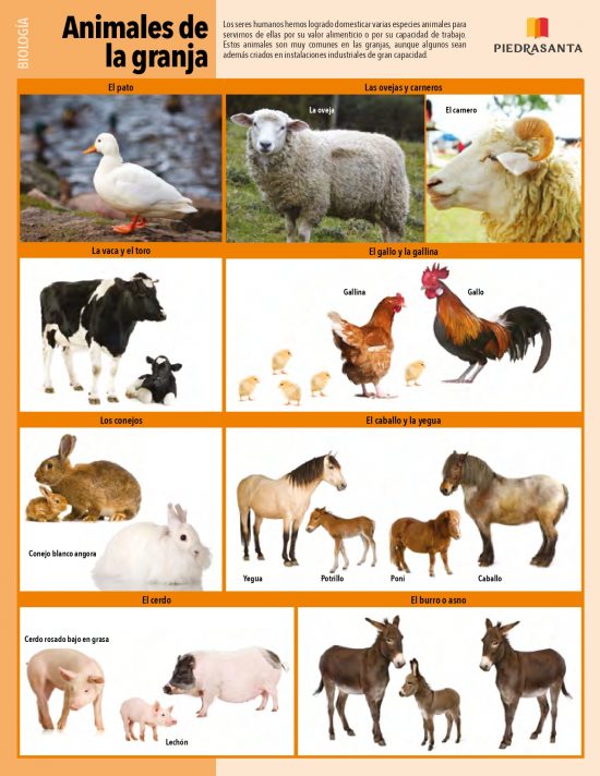 Animales de la granja