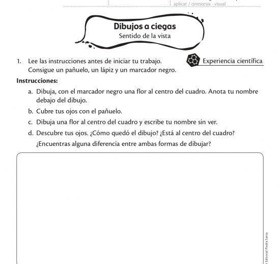 Dibujos a ciegas