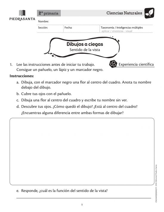 Dibujos a ciegas