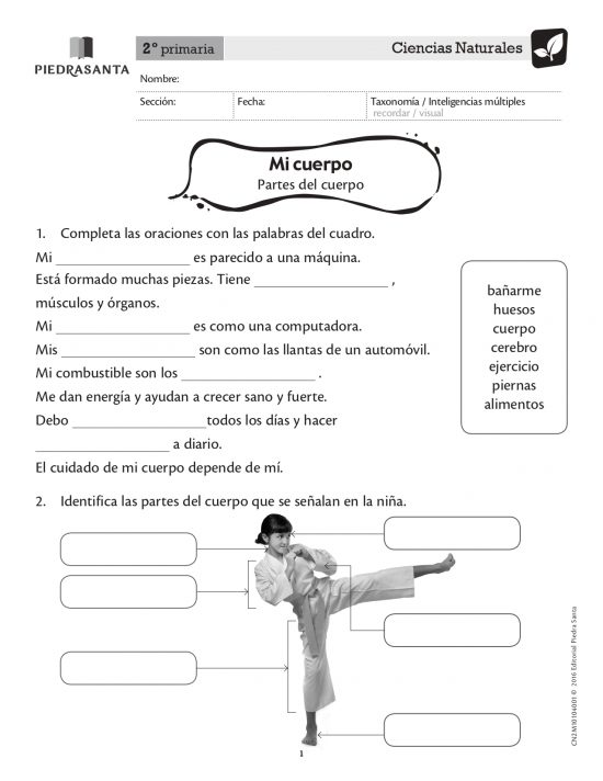 Mi cuerpo