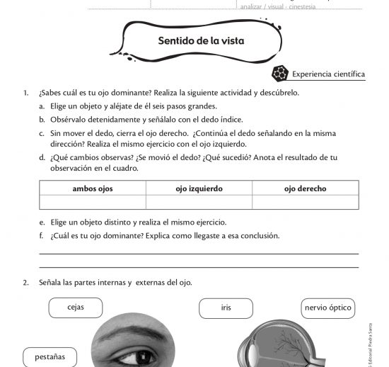 Sentido de la vista