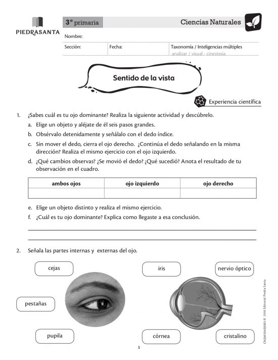 Sentido de la vista