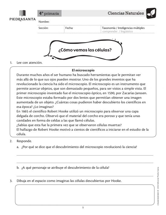 ¿Cómo vemos las células?