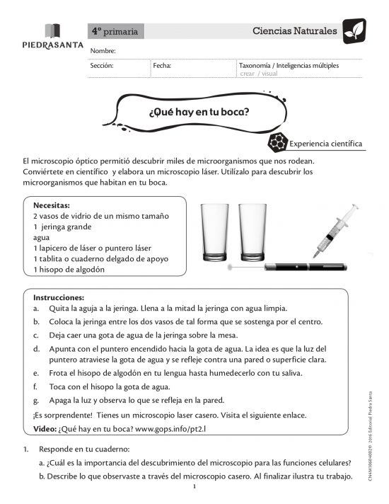 ¿Qué hay en tu boca?