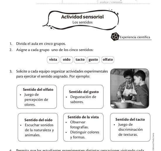 Actividad sensorial