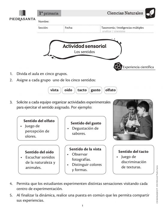 Actividad sensorial