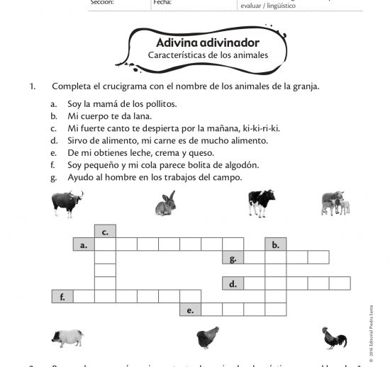 Adivina adivinador