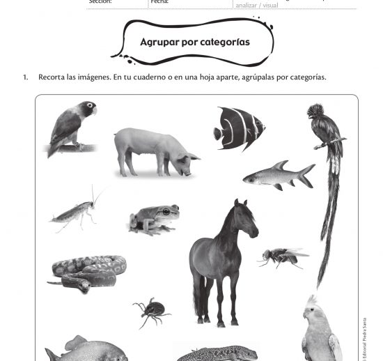 Agrupar por categorías