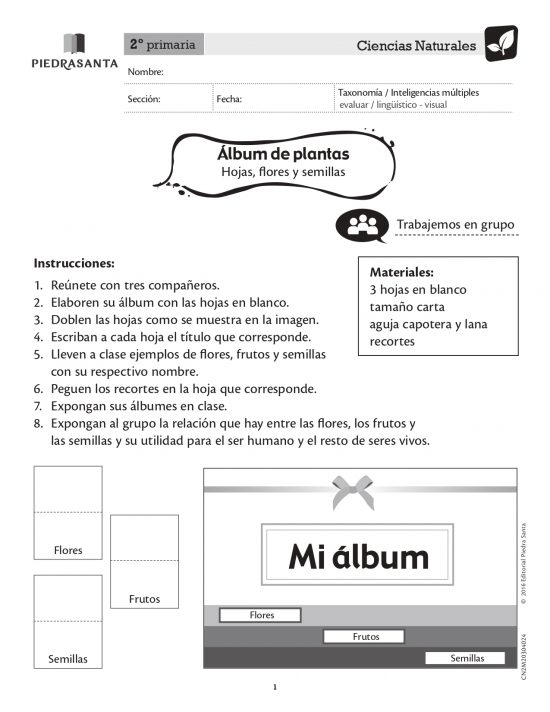 Álbum de plantas