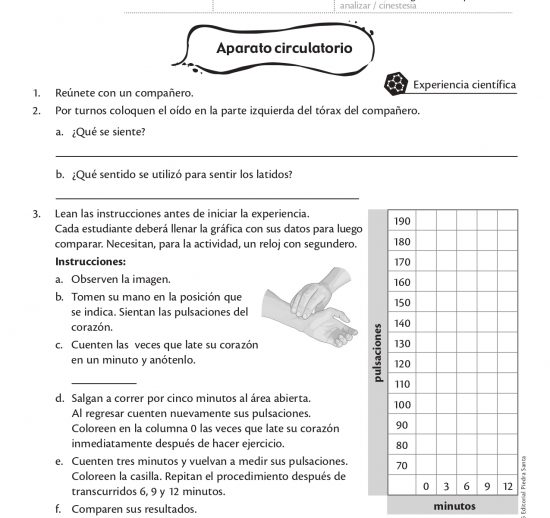 Aparato circulatorio