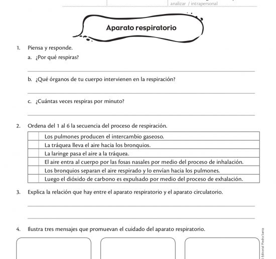 Aparato respiratorio