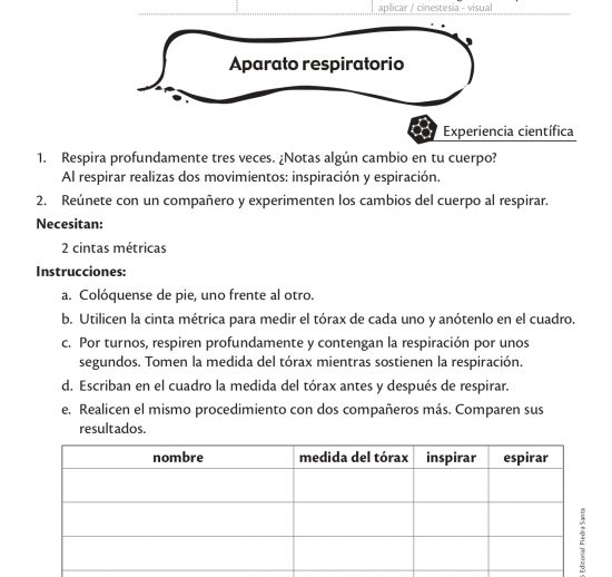Aparato respiratorio