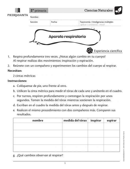Aparato respiratorio