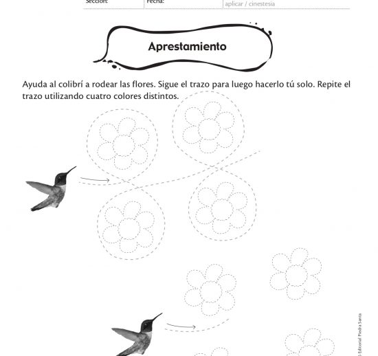 Aprestamiento