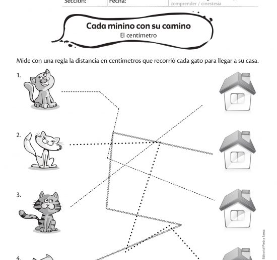 Cada minino con su camino