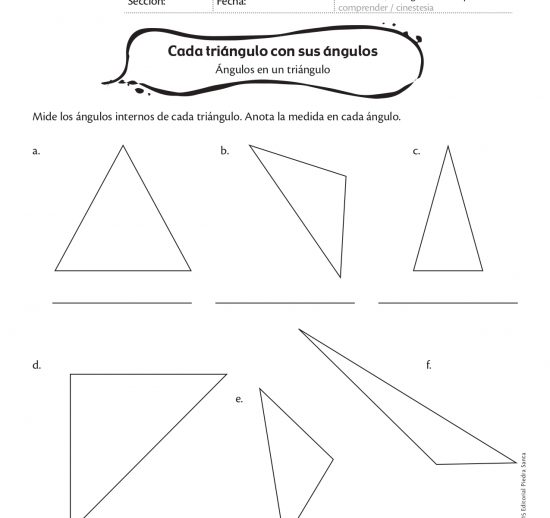 Cada triángulo con sus ángulos