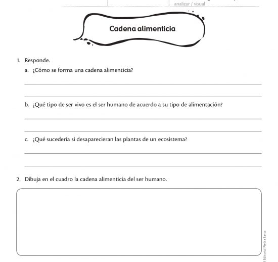 Cadena alimenticia