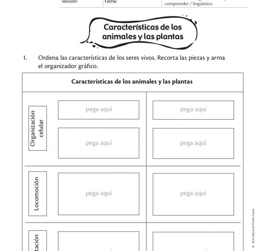 Características de los animales y las plantas