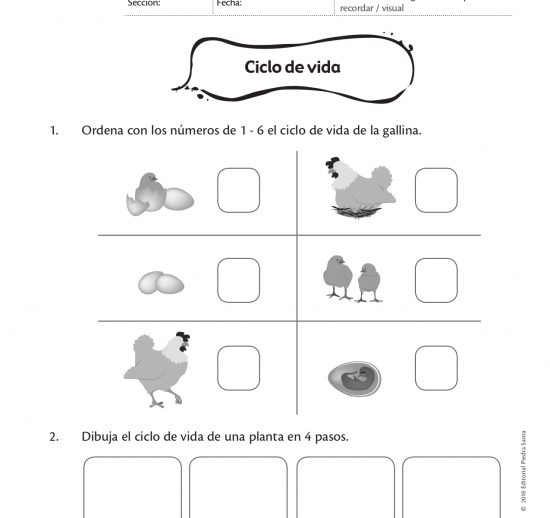 Ciclo de vida