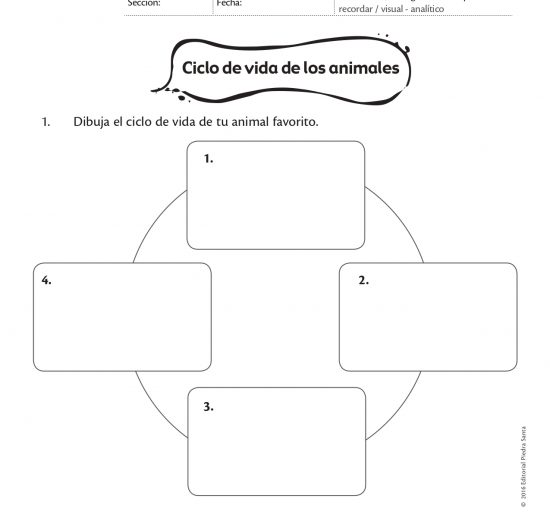 Ciclo de vida de los animales