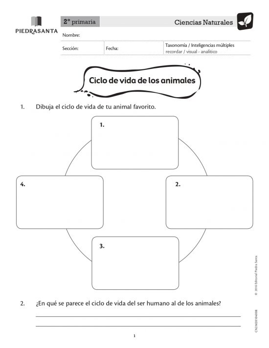 Ciclo de vida de los animales