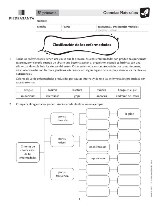 Clasificación de las enfermedades