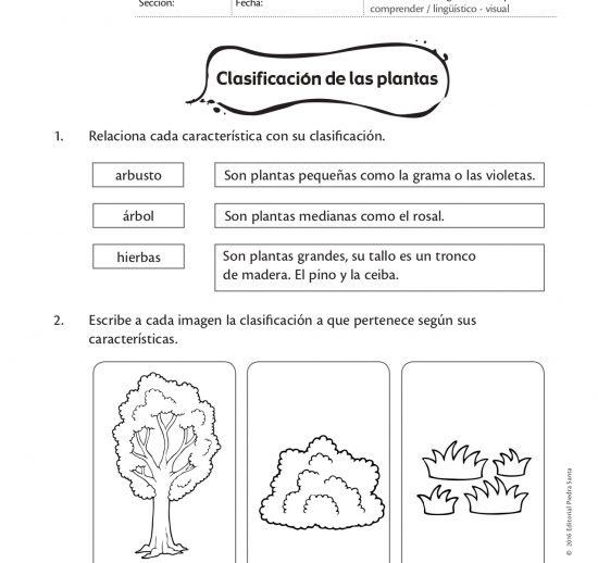 Clasificación de las plantas
