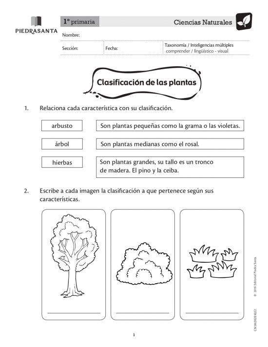Clasificación de las plantas