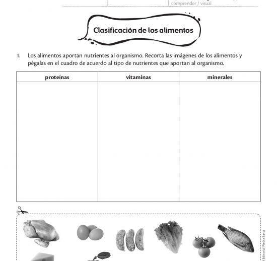 Clasificación de los alimentos