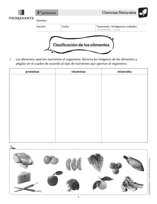 Clasificación de los alimentos