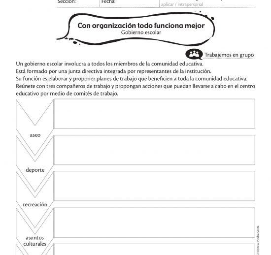 Con organización todo funciona mejor