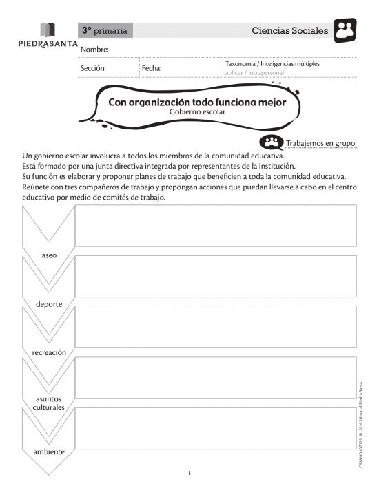 Con organización todo funciona mejor