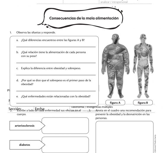 Consecuencias de la mala alimentación