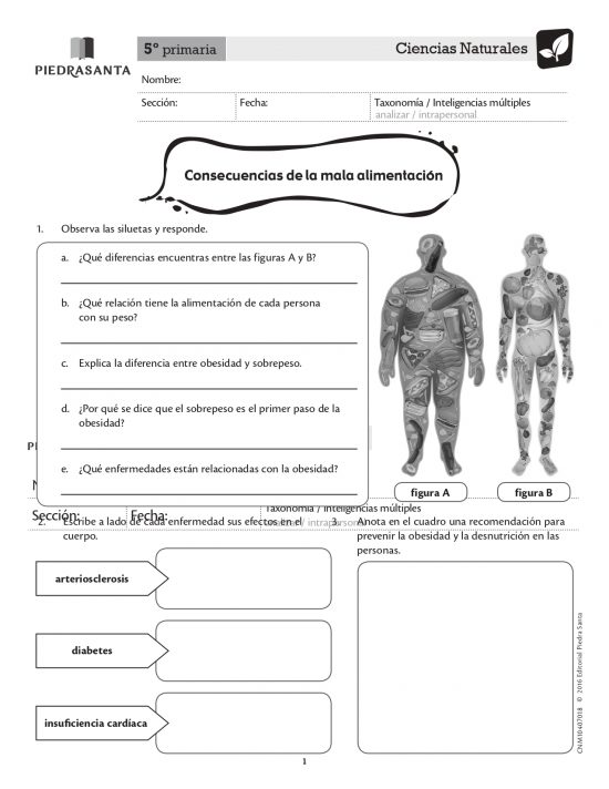 Consecuencias de la mala alimentación