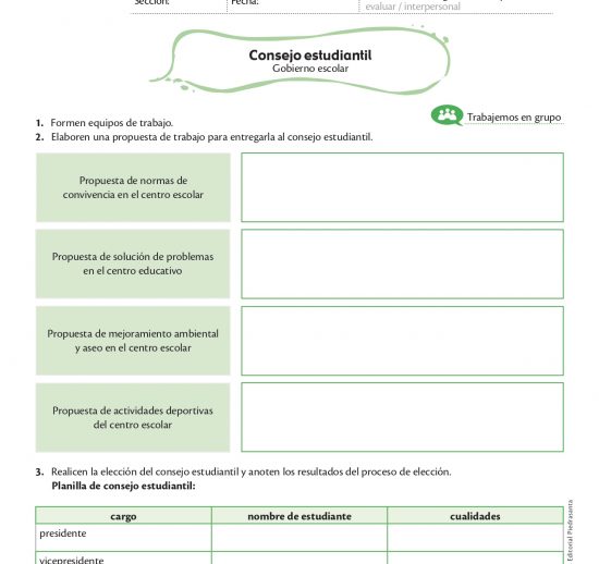 Consejo Estudiantil
