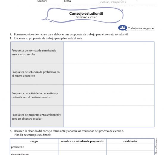Consejo estudiantil