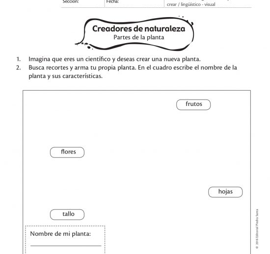 Creadores de naturaleza