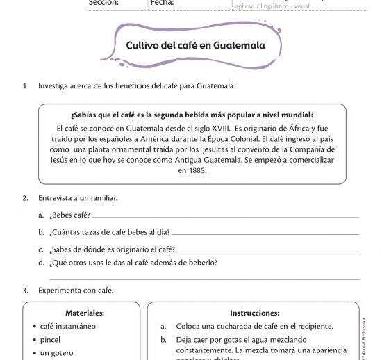 Cultivo del café en Guatemala