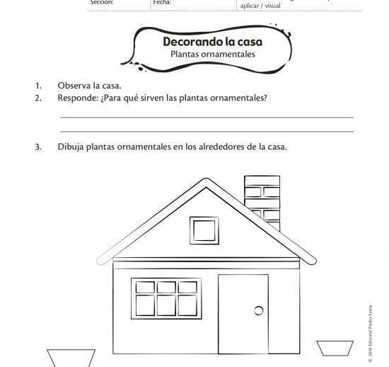 Decorando la casa