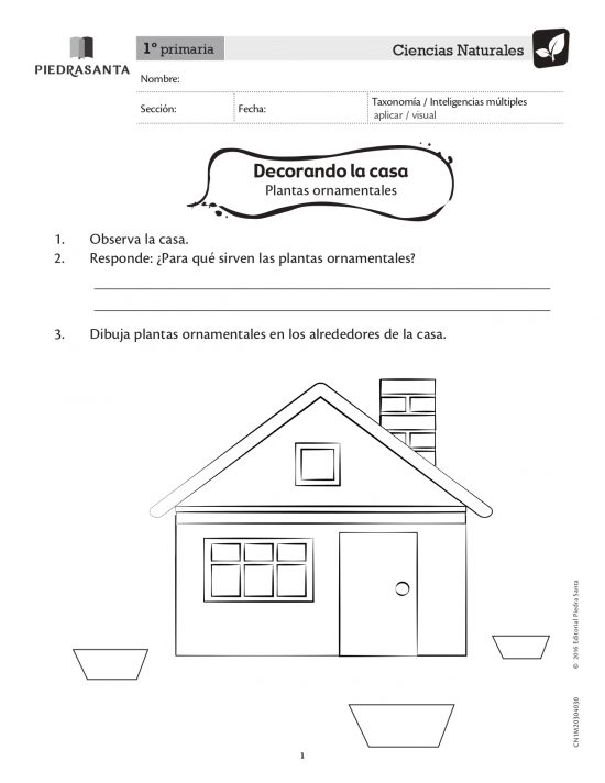 Decorando la casa