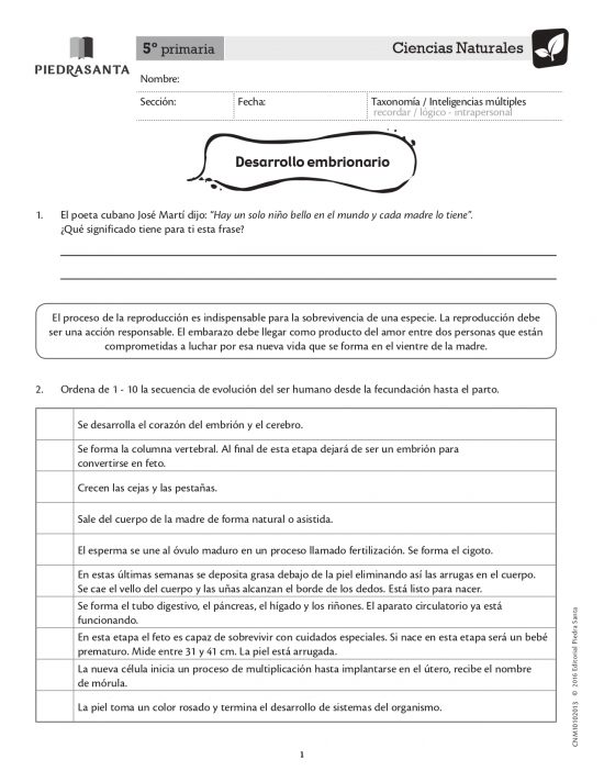 Desarrollo embrionario