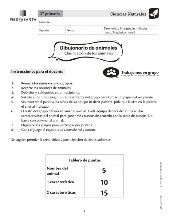 Dibujonario de animales