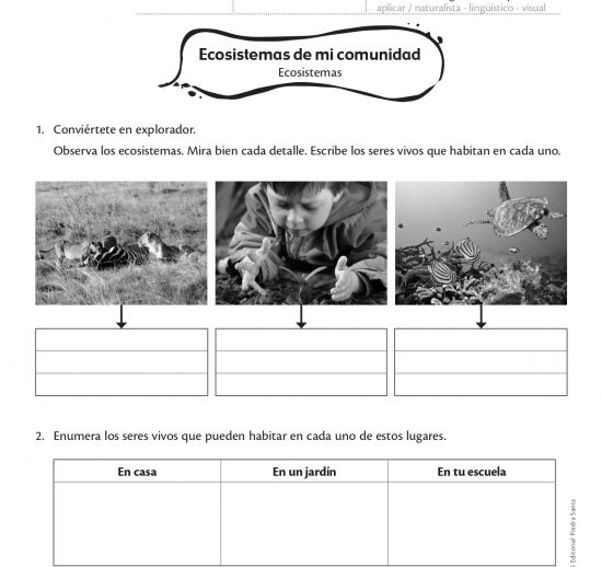 Ecosistemas de mi comunidad