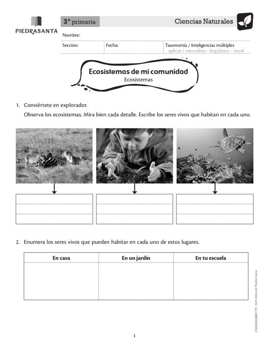 Ecosistemas de mi comunidad