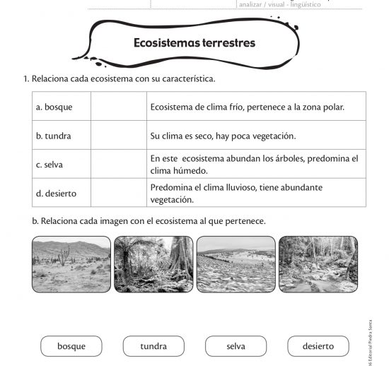 Ecosistemas terrestres