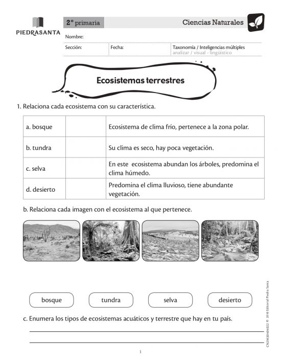 Ecosistemas terrestres