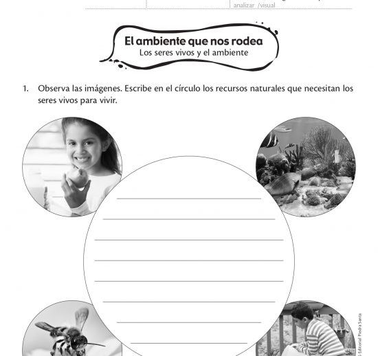 El ambiente que nos rodea