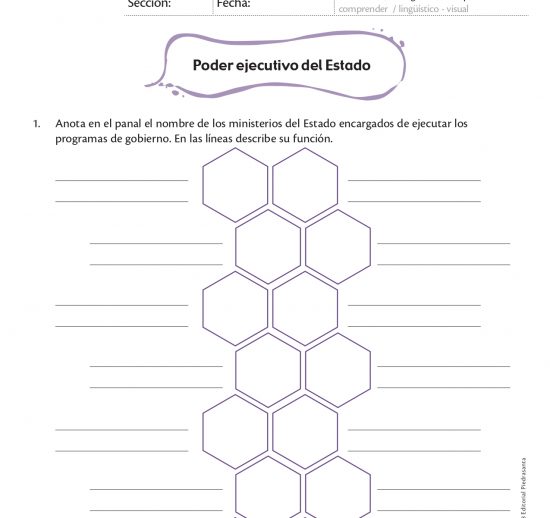 El poder ejecutivo del estado
